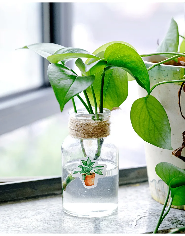 HTB1BsiNVOrpK1RjSZFhq6xSdXXa3