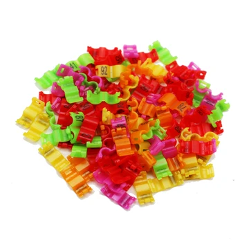 20Set Inner 2.7mm 3mm 4mm 4.5mm 5mm Bird Dove Pigeon Parrot Leg Rings Small Birds Foot Rings Bird Clip Ring