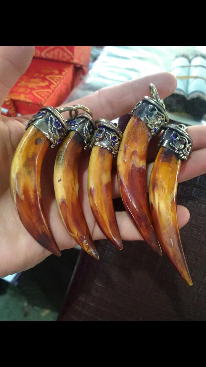 León un paquete de esmalte de dientes de jabali casa antigua de la ciudad para evitar la mala suerte