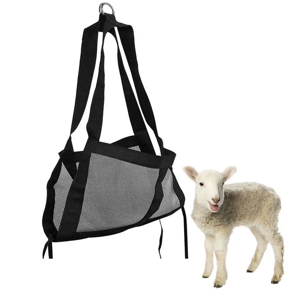 Calf Scale Hanging Weight Scale Sling with Adjustable Straps for Weighing Calves Lambs Goats Baby Alpacas Newborn Livestock Dogs GINDOOR Calf Sling for Weighing Animals
