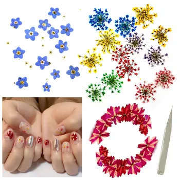 

180PCS Dried Pressed Flowers Combination Combination with Tweezers for DIY Phone Case Resin Jewelry Crafts Nail Stickers