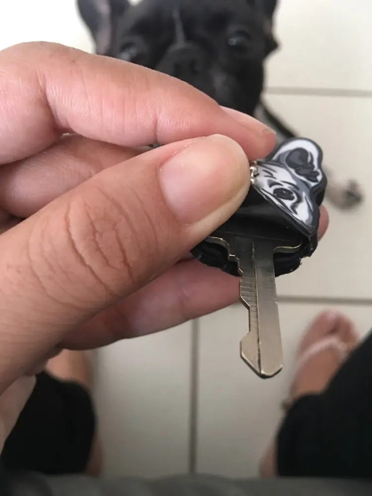 UTB8pX.WdFfJXKJkSamHq6zLyVXaE