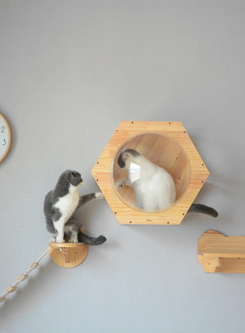 Móveis e acessórios p gatos