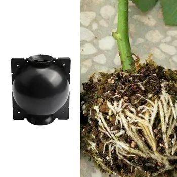 

10pcs Plant Rooting Ball Grafting Rooting Growing Box Plant Root Growing Breeding Case Plastic Garden Pouch Nursery Ball