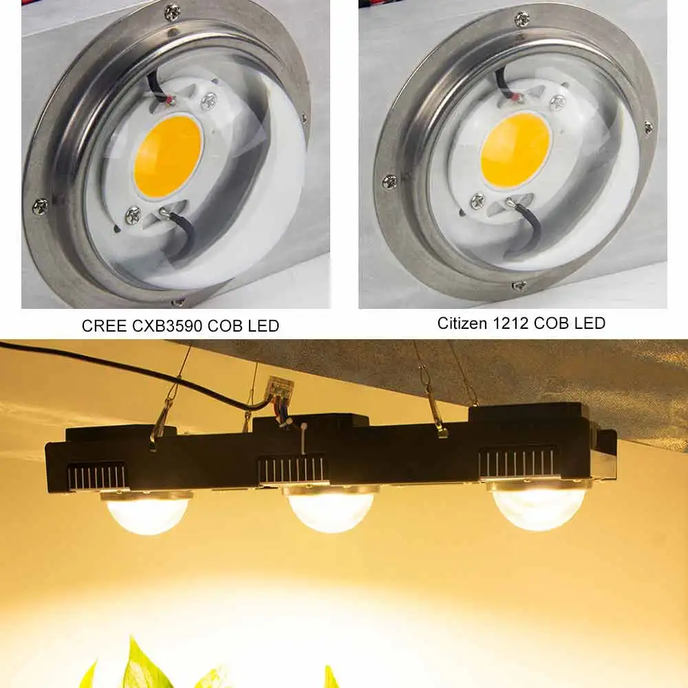 CXB3590 COB светодиодный Grow светильник полный спектр 200W 300W Citizen 1212 для