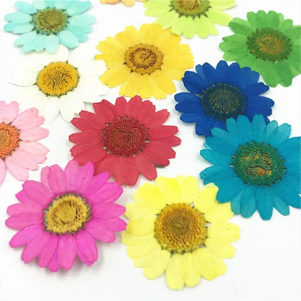 

12Pcs Pressed Dried Natural Flower Epoxy Resin Nail Craft DIY Phone Decoration Artificial & Dried Flowers