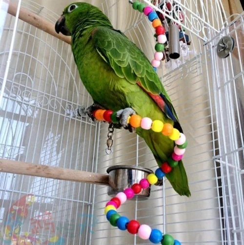 Поставки Пион попугай игрушка подпрыгивающая клетка птица висящий попугай горячая распродажа