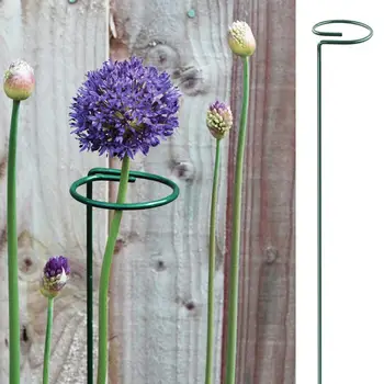 

6Pcs 16Inch Plant Support Stake Metal Plant Climbing Vine Rack Garden Plant Support Stake Growing Stand Plant Support Frame