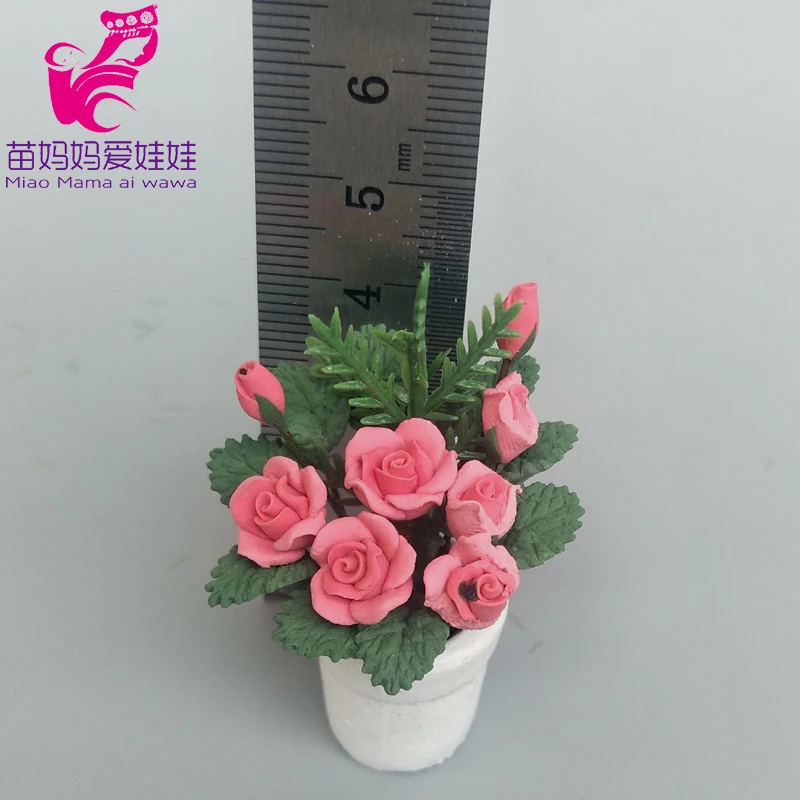 IMG20200228154541 拷贝