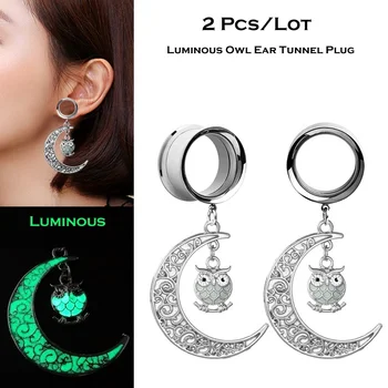 

2PCS Stainless Steel Tunnel Ear Plug Ear Gauge Luminous Owl Pendientes Reamer Earring Jewelry Ear Piercing Expansores Oreja 4-25