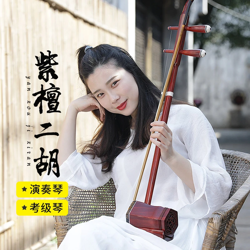 Палисандр erhu Hu Qin профессиональная производительность erhu Китайский инструмент с полным erhu аксессуары