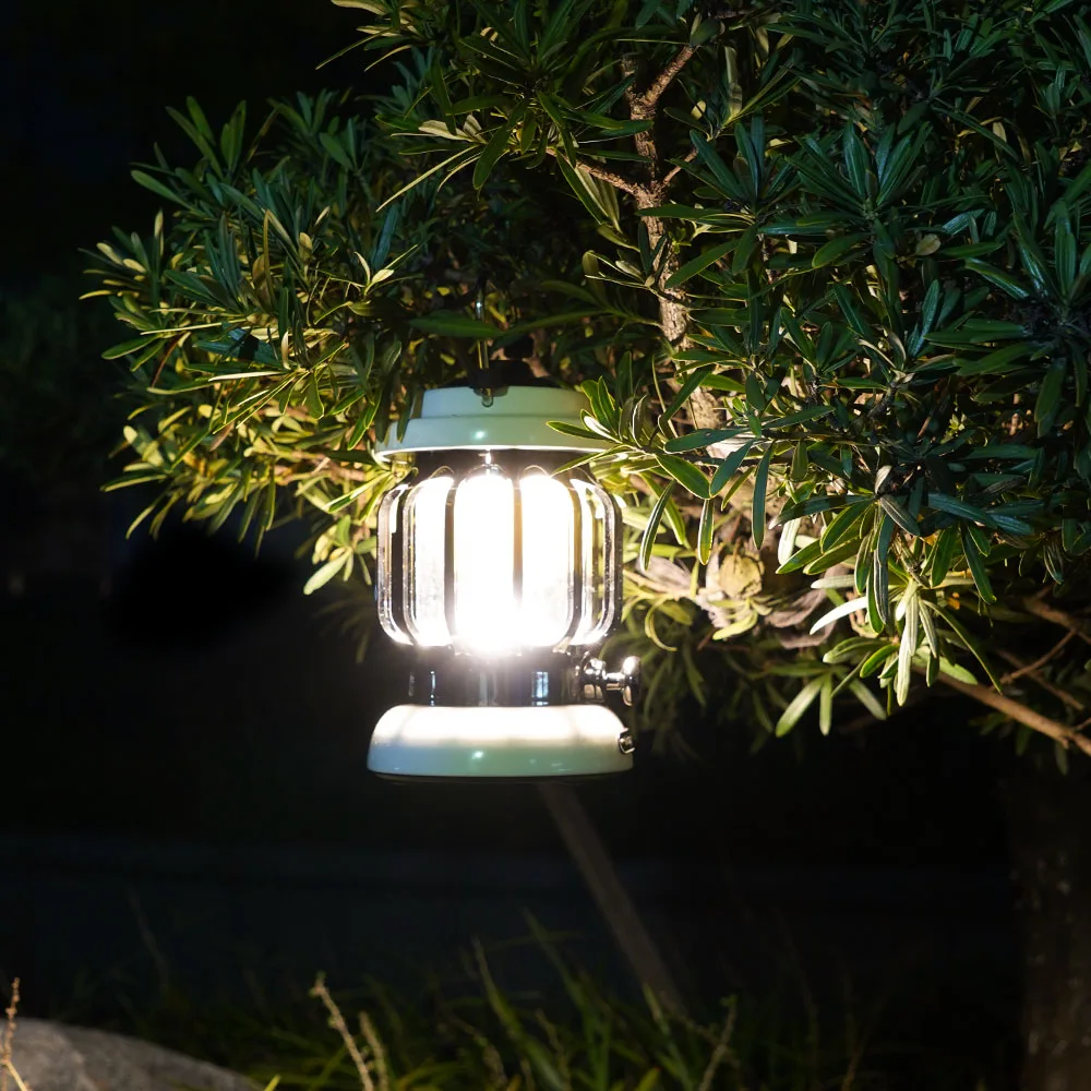 CHIN TORCH Wildbright Store