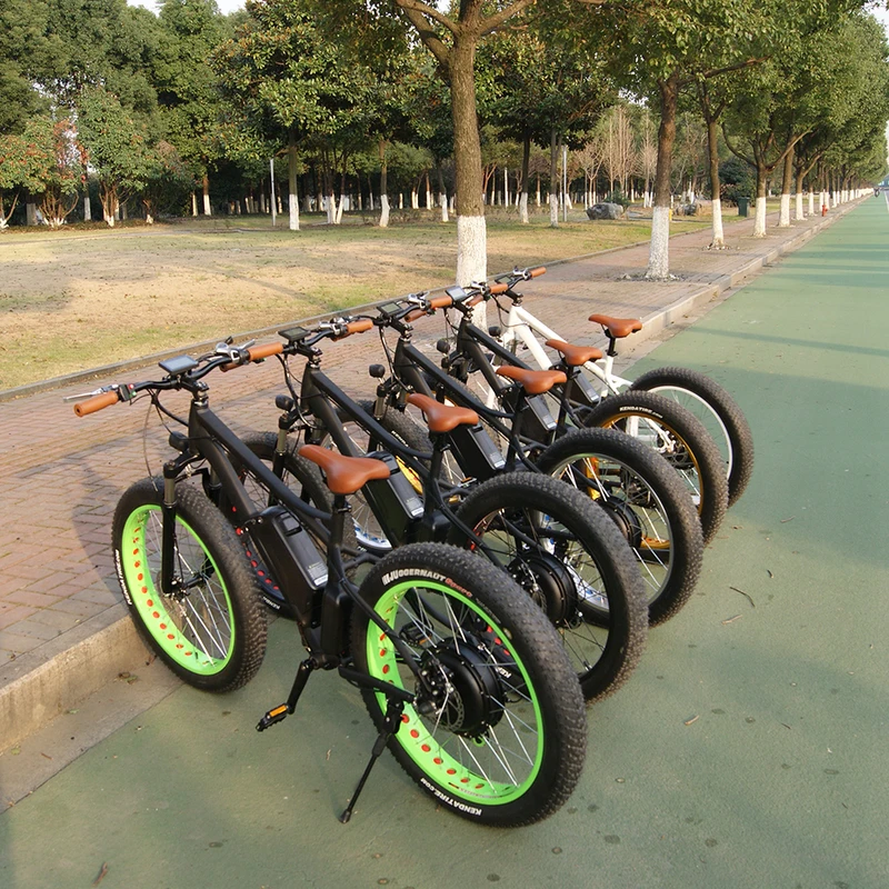 Fr26a Ce одобренный зеленый мощность 26 дюймов Fatbike 1000 Вт горный Тип электровелосипед