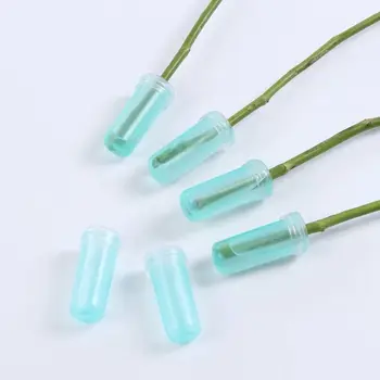 

Flower Nutrition Tube Plastic Floral Water Tube Tube Hydroponic Container With Cap Keep Fresh Rhizome For Flower Hot