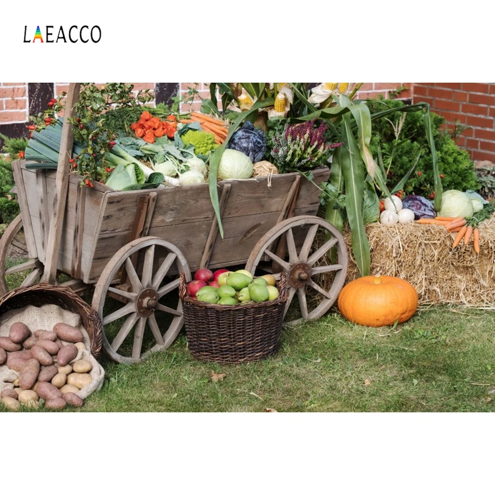 

Laeacco Autumn Hay Stack Cart Pumpkin Fruits Harvest Photography Backgrounds Customized Photographic Backdrops For Photo Studio