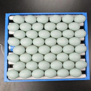 

1 Set of 360 Degree Chicken Eggs Turner Automatic Incubator Duck Ostrich Poultry Egg Tray Farm Hatchery Supplies