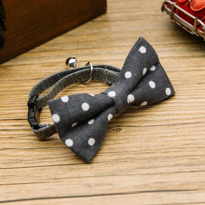 4728840973_1362072616