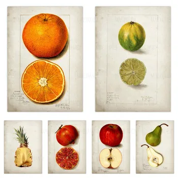 

Food Poster And Fruit Vegetable Canvas Painting Wall Art Picture Kitchen Dining Room Restaurant Decor Picture Canvas Painting