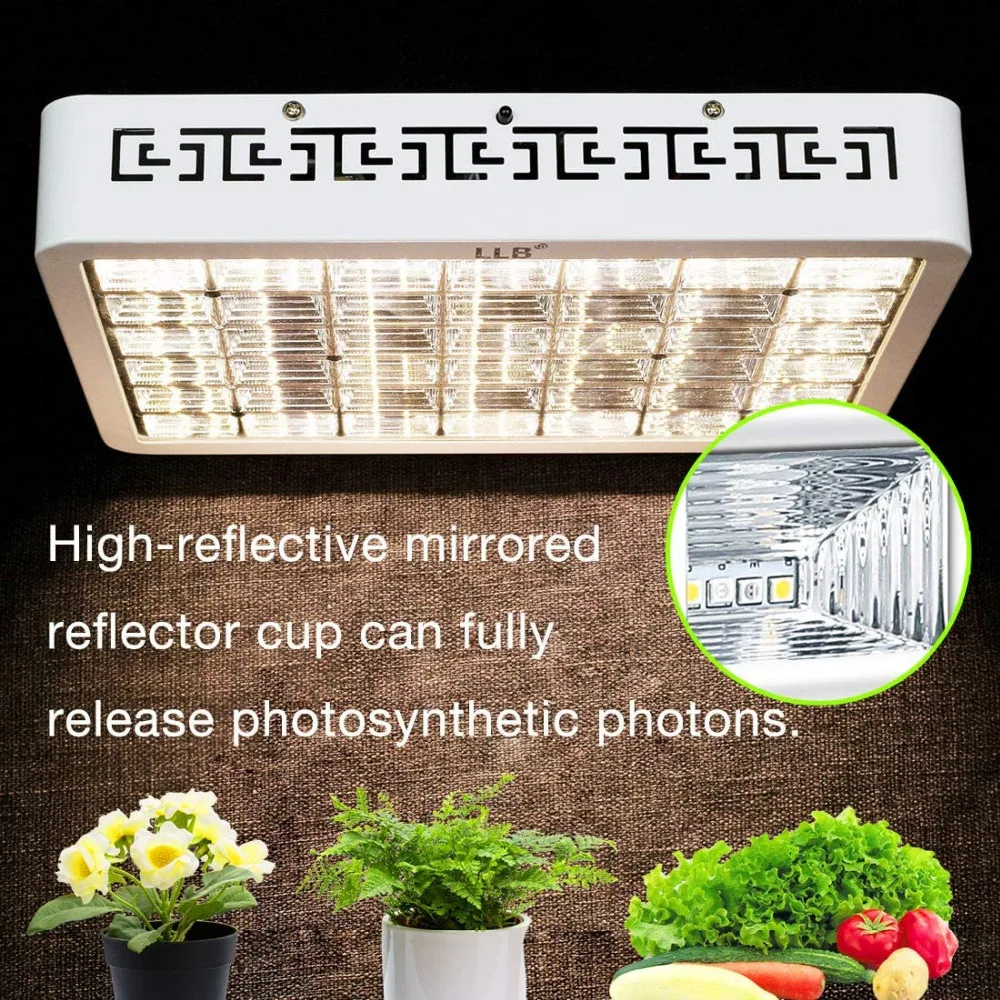 81uaENeZtyL._AC_SL1100_