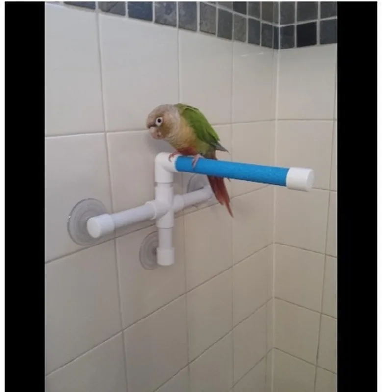 

Parot Toys Bird Toys Parrot Stand Parrot Shower Holder Parrot Standing Toy Portable Suction Cup Parrot Bath Stands Suppllies