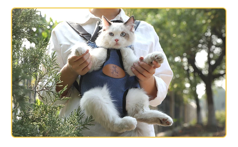 Cat Front Carrier Bag