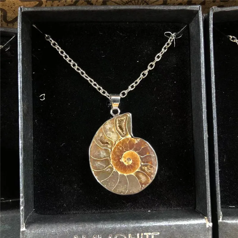 Natural Stones Pendants Ammonite Fossils Seashell Snail Ocean Reliquiae Conch Animal Necklace Jewellery Christmas Pendant Set | Дом и сад