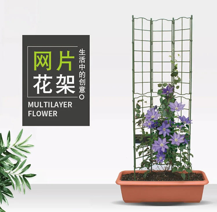 

Horticulture Laminate Lattice Clematis Shelf Plant Climbing Rose Pergola Gardening Bracket Flower Holder