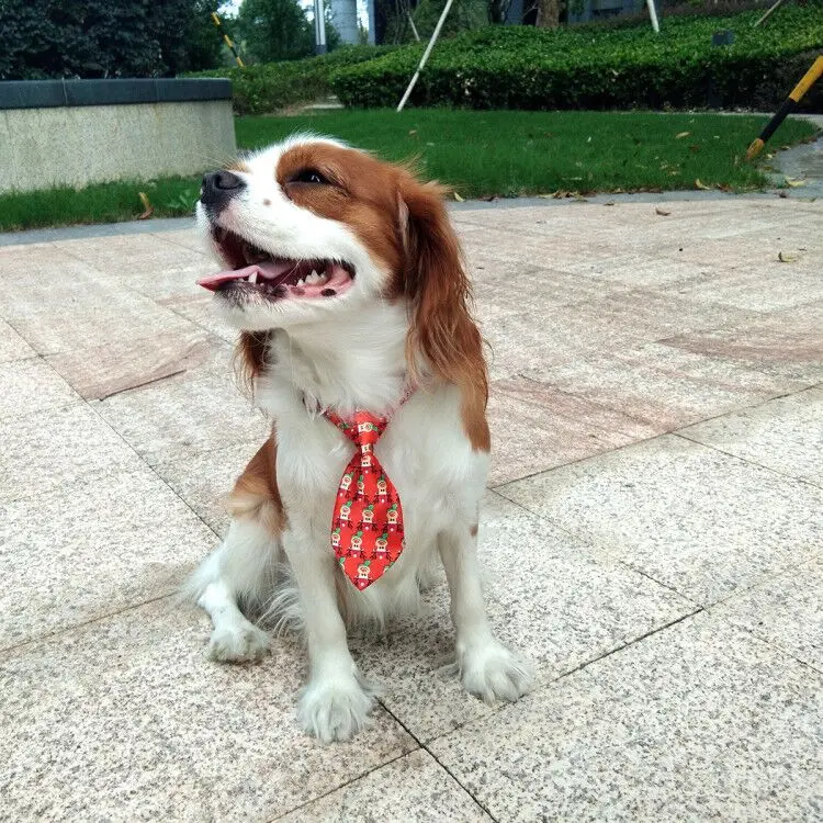 50 шт. галстуки бабочки для домашних питомцев|dog grooming supplies|pet dog necktiesdog tie |