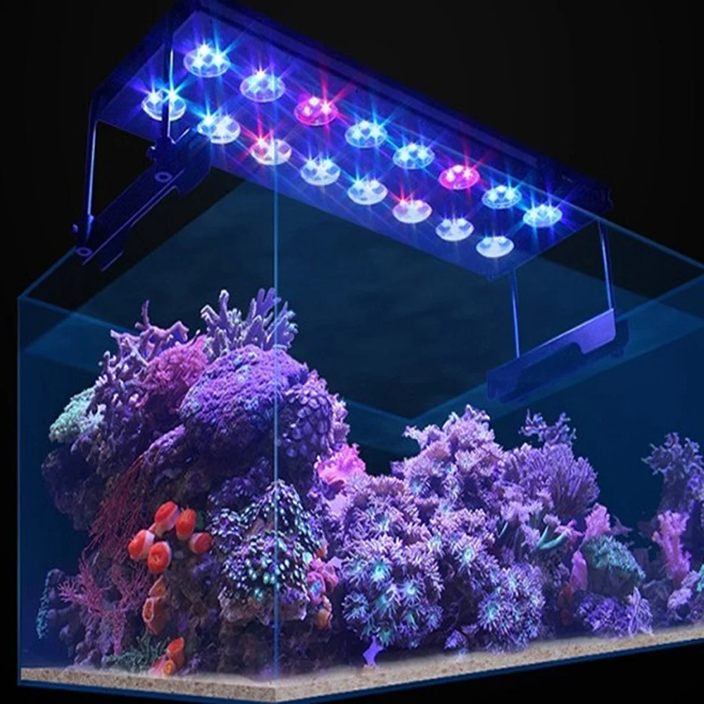 海水魚 システムLED アクアサンライズプラスR90 海水魚 システムLED アクアサンライズプラスR90