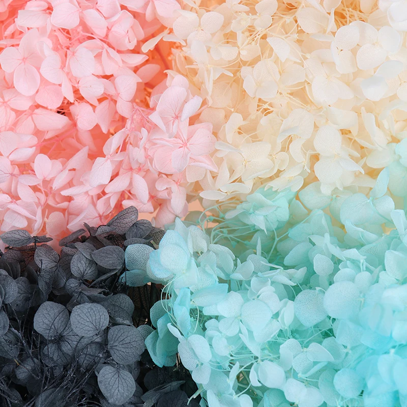 

10g/lot Natural Fresh Preserved Flowers Dried Hydrangea Flower Head For DIY Real Eternal Life Flowers Material High Quality