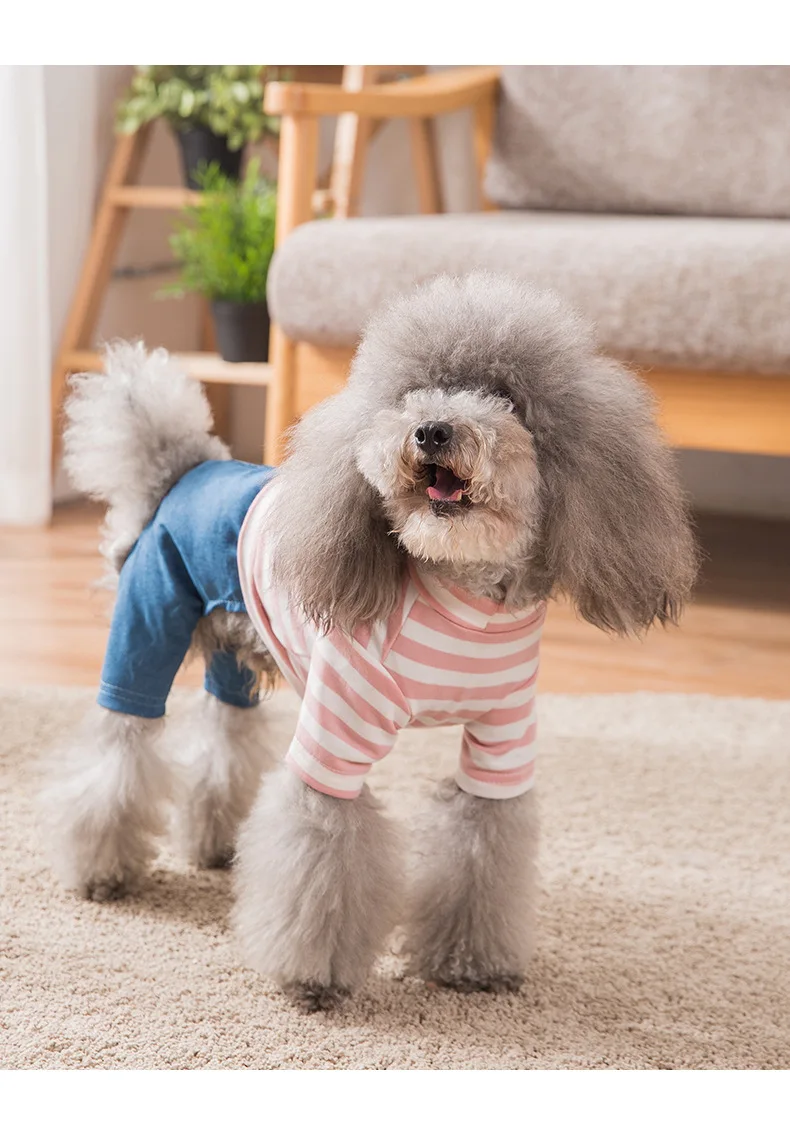 Spring and Autumn Leisure Style Pet Dog Clothing Comfortable Breathable Fashion Striped The Four Feet Garments Small Dog Clothin