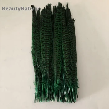 

100 Pieces Directly Dyed Green Female Ringneck Pheasant Tail Feathers 25-30cm 10-12inch Long Chicken Feathers For Carnival Decor