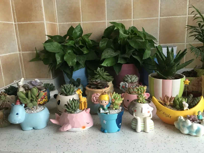 1pcs Small Flowerpot Creat Design Home Garden Mini Bonsai Cactus Planter Pots Succulent Plant Pot Wedding Birthday Gift Ideas recommend