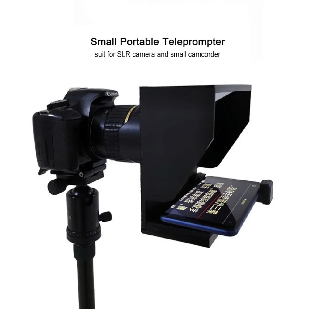 313202_no-logo_313302-1-09-g