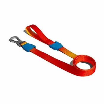 

ZEE.DOG Laisse pour Chien élégante avec Crochet pour Plus de sécurité