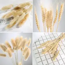 20 шт. пшеничные стебли натуральный сухой хвост кролика сушеные цветы Декор для рождества свадьбы дома вечерние DIY украшения офиса