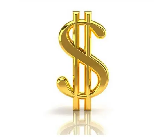 

Extra Shipping Fee For Busy Shopping Day , Customs Fee And Make Sure Faster