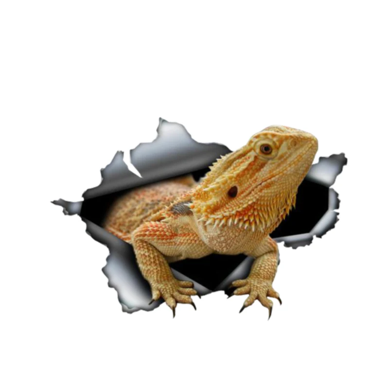 

Interesting Car Sticker Accessories 3D Bearded Dragon Animal Decal Car Window Waterproof Car Accessories PVC 13cm X 9cm