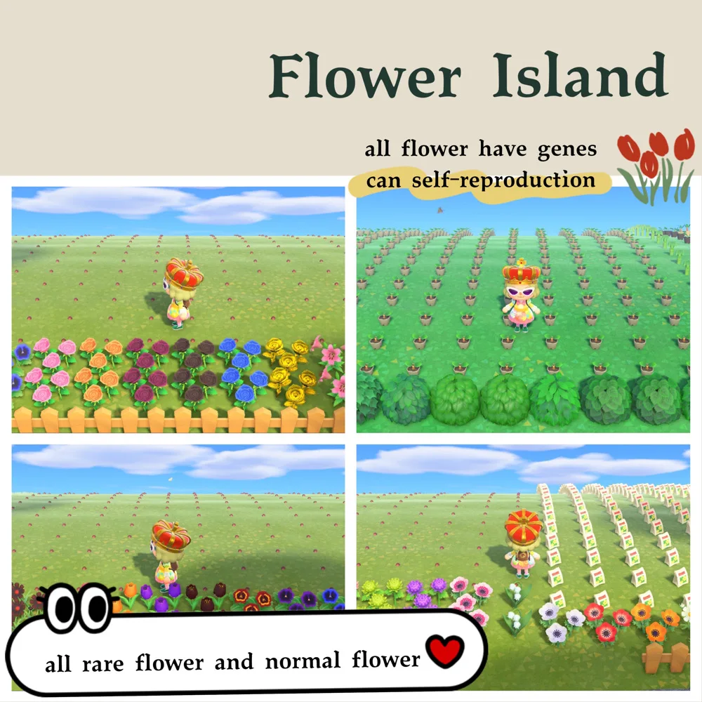 Animal Crossing New Horizons, Isla de flores raras