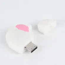 Розовый/белый Brian форма USB флэш-накопители высокоскоростной USB2.0 хранения мини-устройства