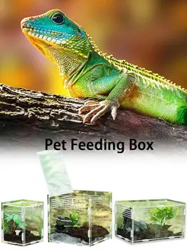 

360 Degree Transparent Reptile Breeding Box Acrylic Feeding Box Magnetic Pet Climbing Terrarium For Spiders Scorpions Ceratophry