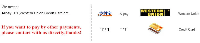 Payment 2