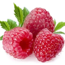 100 шт свежая настоящая Малина клубника OoFruit F(Shu-mei
