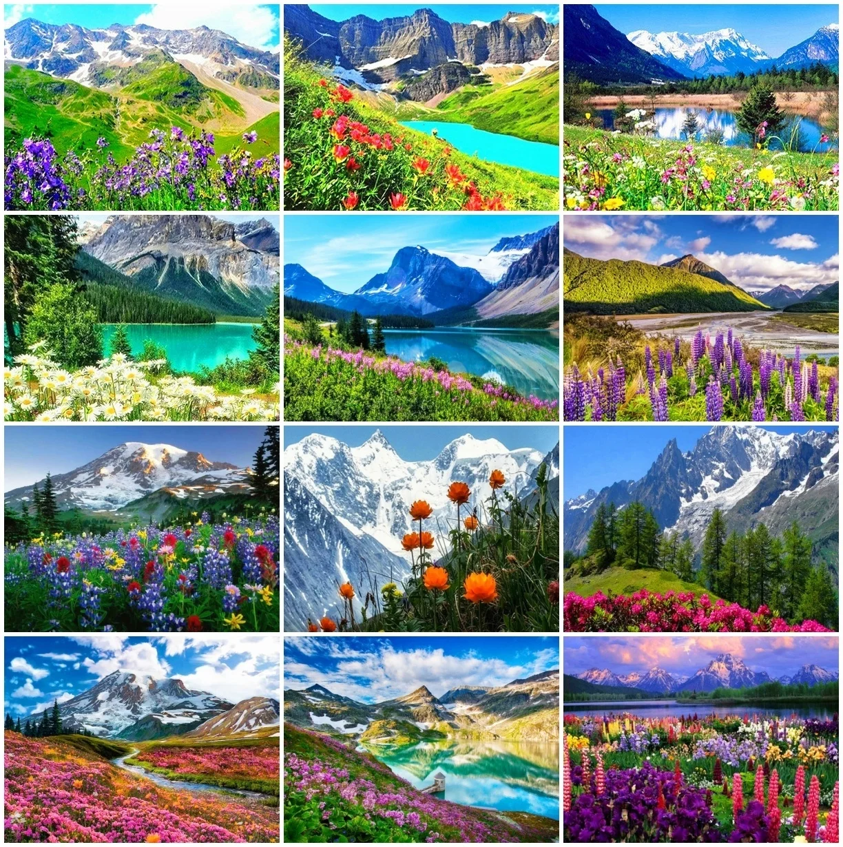 3 (4).jpg_.webp 3 (4).jpg_.webp