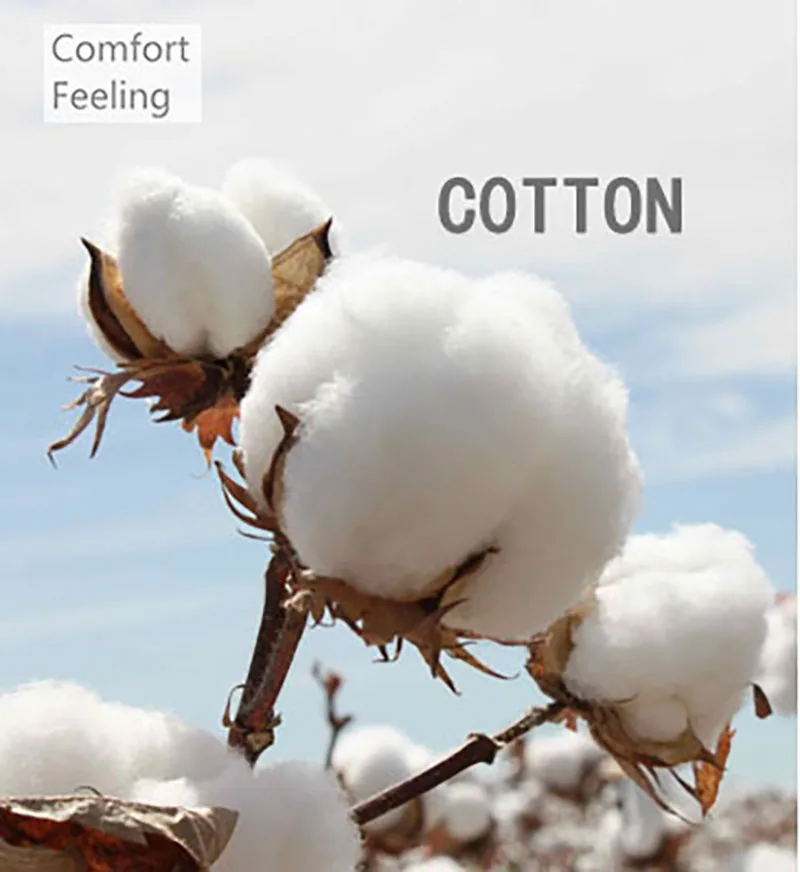 舒适棉
