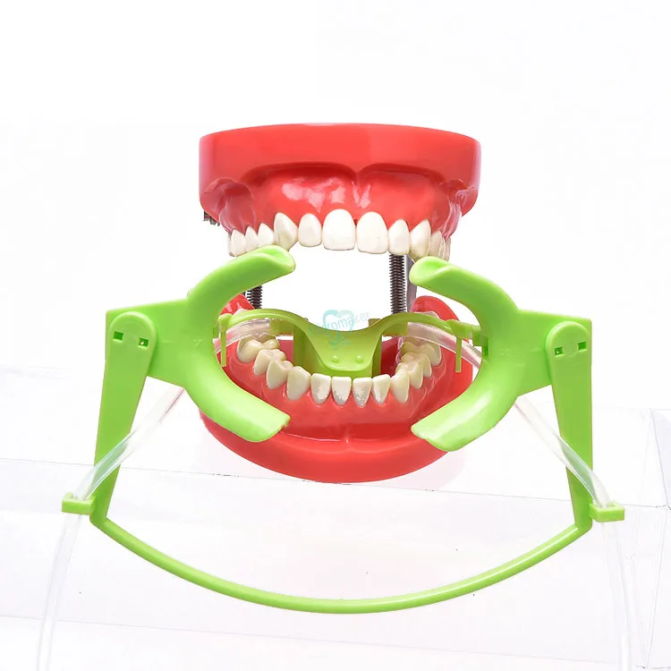 1 sztuk Dental zwijacz z sub ślina wewnątrzustna Lip Cheek zwijacz otwieracz do ust policzek rozwiń stomatologia Oral Dry Field 6 1 sztuk Dental zwijacz z sub ślina wewnątrzustna Lip Cheek zwijacz otwieracz do ust policzek rozwiń stomatologia Oral Dry Field 6