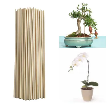 

50pcs! Wooden Plant Grow Support Bamboo Plant Sticks for Flower Stick Cane stands agriculture garden bonsai tool