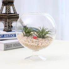 Гидропонная прозрачная стеклянная ваза для цветов домашняя настольная плантатор Террариум контейнер для вина форма стекла