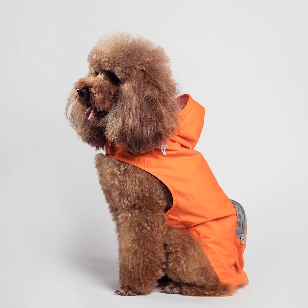 dog jacket cemian