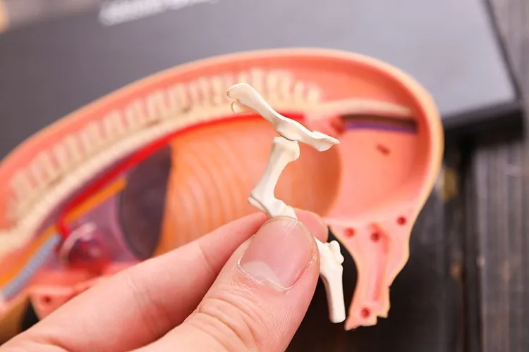 aeProduct.getSubject()